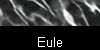 Eule